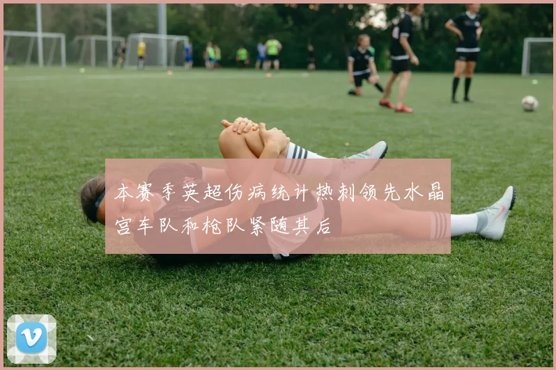 本赛季英超伤病统计热刺领先水晶宫车队和枪队紧随其后